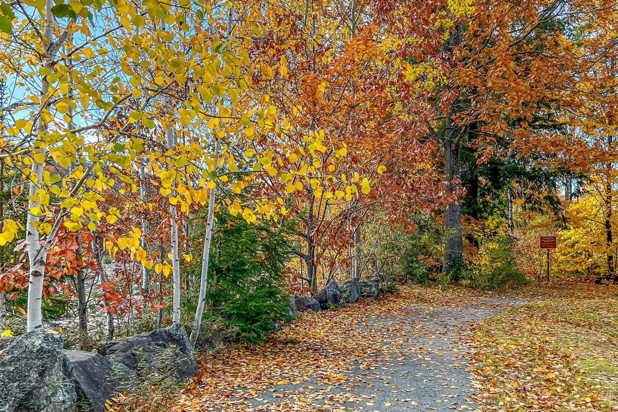 Autumn Colors Condo, Unit 215 Lincoln Zewnętrze zdjęcie